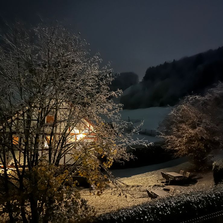 Garten im Schnee